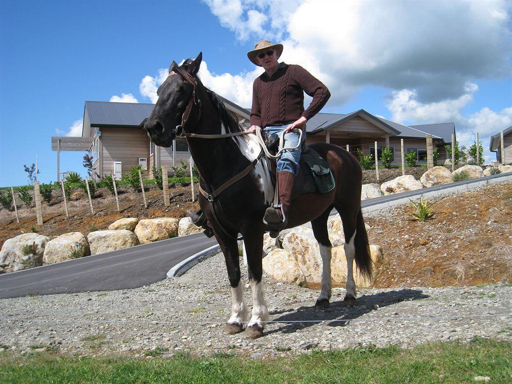 كاتيكاتي Kaimai Country Lodge المظهر الخارجي الصورة