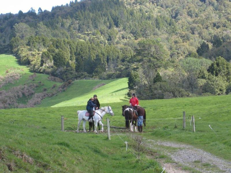 كاتيكاتي Kaimai Country Lodge المظهر الخارجي الصورة