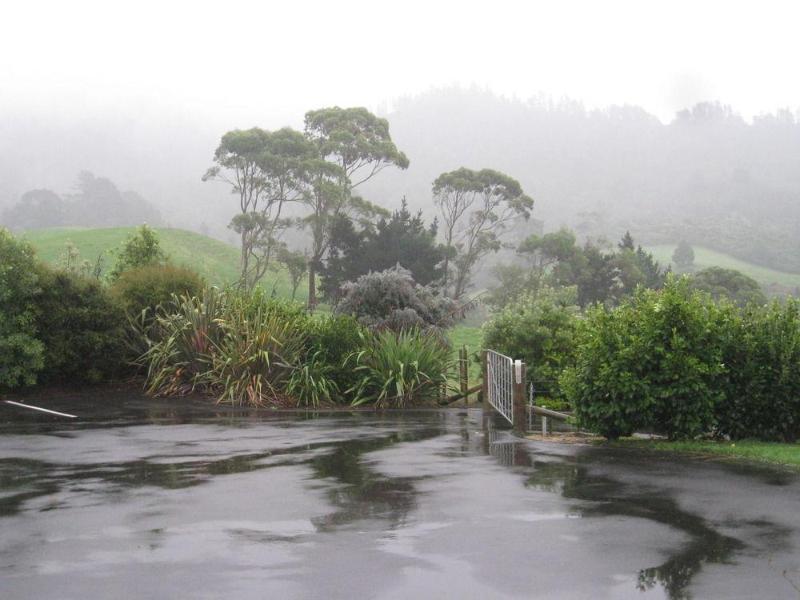 كاتيكاتي Kaimai Country Lodge المظهر الخارجي الصورة