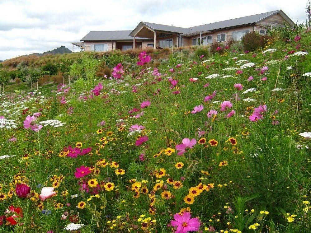 كاتيكاتي Kaimai Country Lodge المظهر الخارجي الصورة